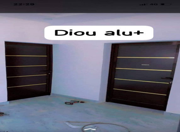 35% DE REDUCTION SUR LES PORTES ALLUMINIUM DE 2M10 CHEZ DIOUF METAL ALLU