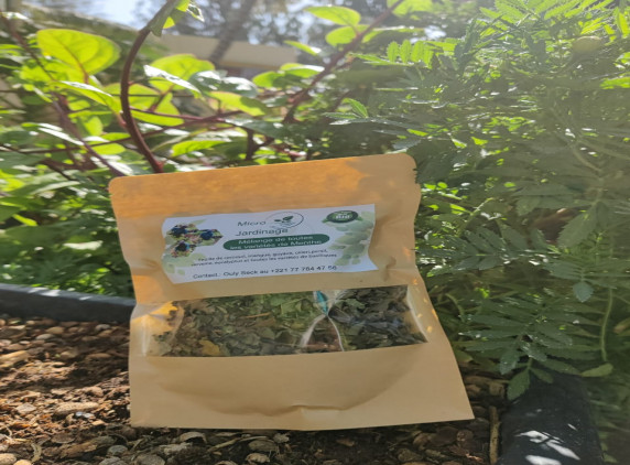 50% DE REDUCTION SUR LE MELANGE DE VARIETES DE MENTHE EN SACHETS DE 200g CHEZ SUNU JARDIN